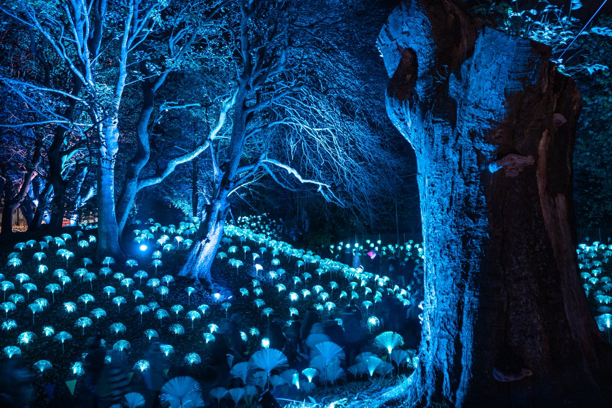 From The Fields tweet media