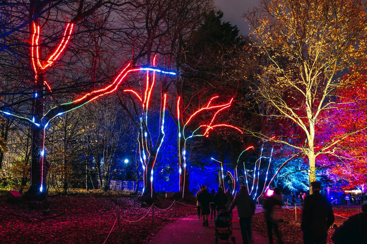In less than a month we’ll be opening three festive light trails across Cardiff, Leeds &amp; Newcastle, each brimming with world-class illuminations! 🙌 

Find out more 👇🏼

Cardiff: christmasatbutepark.com
Leeds: northernlightsleeds.com
Newcastle: northernlightsnewcastle.com