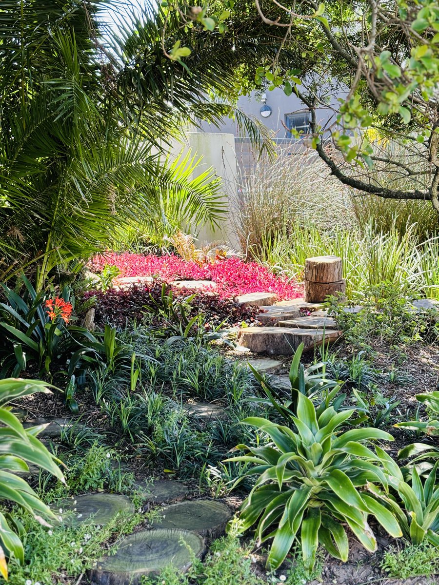 GusMeyer658833's tweet photo. #gardenpath https://t.co/b2XNRftmT2