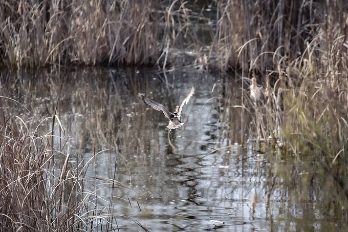 Foto cedida por Ayuntamiento de Rivas