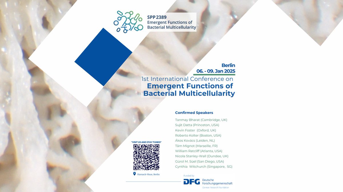 SPP2389 Bacteria! Beyond the single cell! tweet media