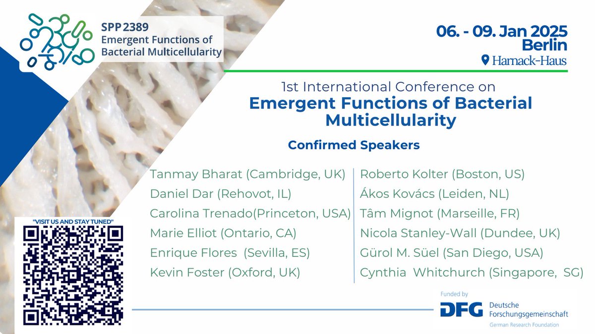 SPP2389 Bacteria! Beyond the single cell! tweet media