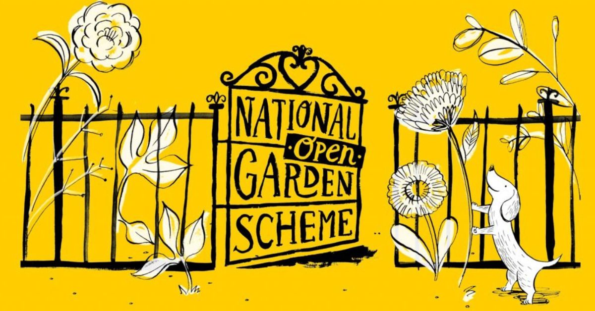 Great Comp Garden tweet media