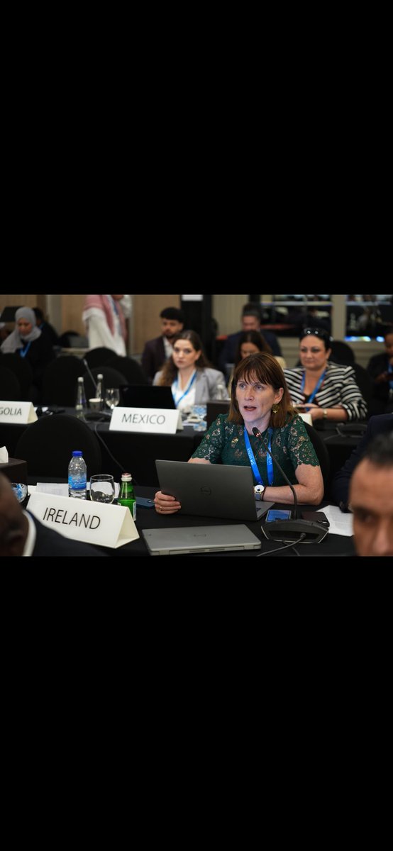 At the 28th IRENA Council, Ambassador Milton reiterated Ireland’s commitment to the green transition, affirming our ambition to meet 80% of our electricity demands with renewables by 2030.