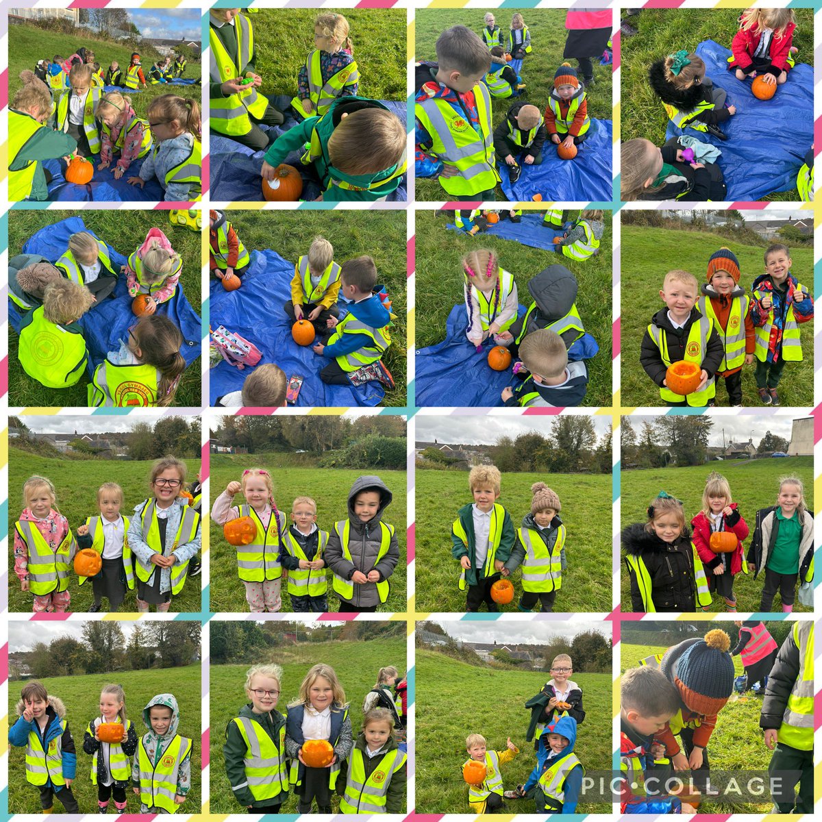 Mrs Sellick (@mrs_sellick) on Twitter photo #DosbarthDwynwen wedi defnyddio pwmpenni i fwydo’r adar yn ystod ein sesiwn #merchermentrus Gwaith tîm bendigedig 👏🏻 🎃 <a href="/yggf123/">Ysgol Gymraeg Gilfach Fargod 🏴</a> #DosbarthDwynwen wedi defnyddio pwmpenni i fwydo’r adar yn ystod ein sesiwn #merchermentrus Gwaith tîm bendigedig 👏🏻 🎃 <a href="/yggf123/">Ysgol Gymraeg Gilfach Fargod 🏴</a>
