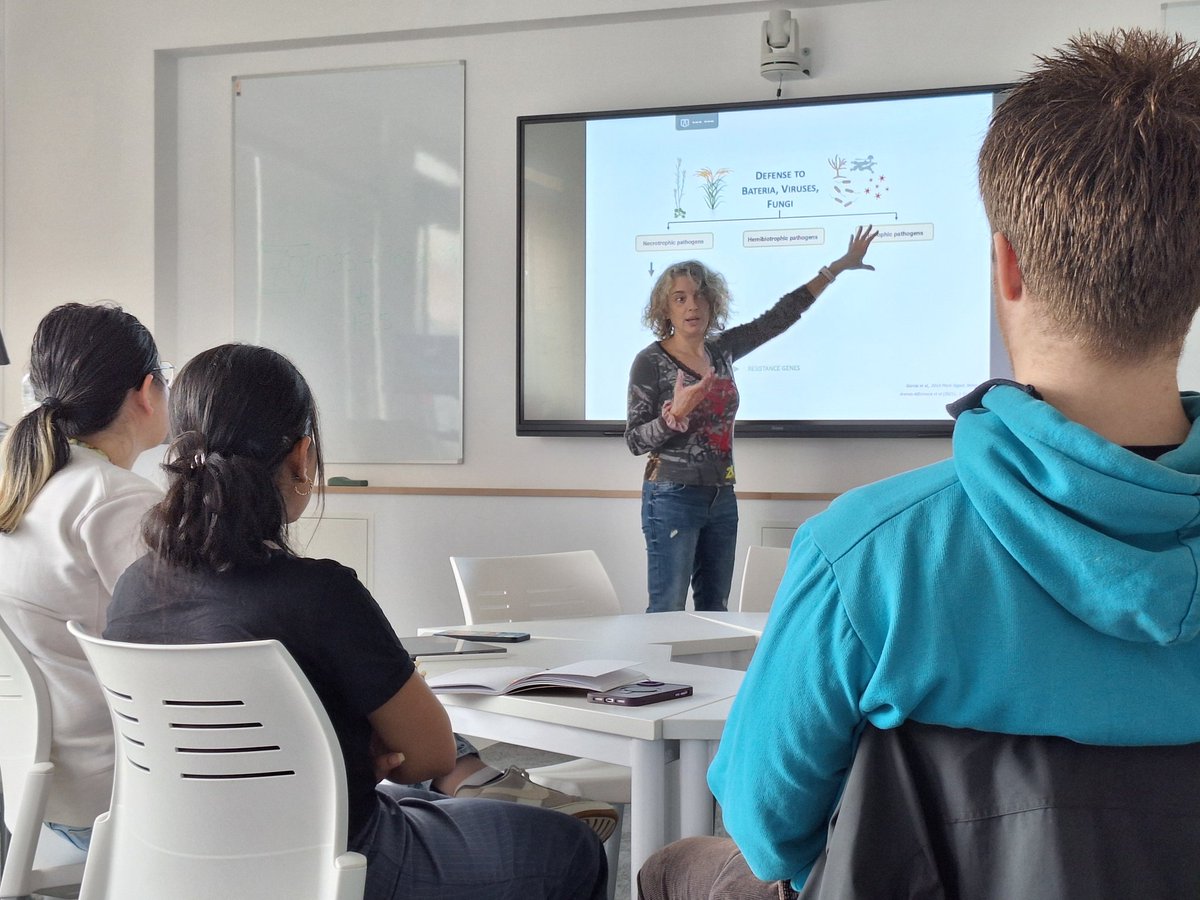 Farrona Lab tweet media