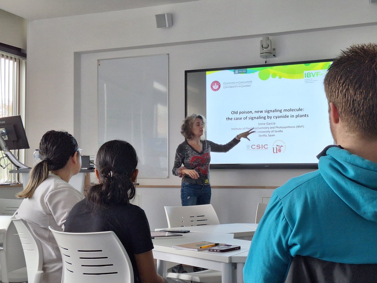 Farrona Lab tweet media