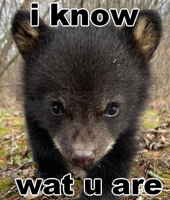 BeardedPanduh's tweet photo. @BadBitchCarta https://t.co/7Xbu3OD30O