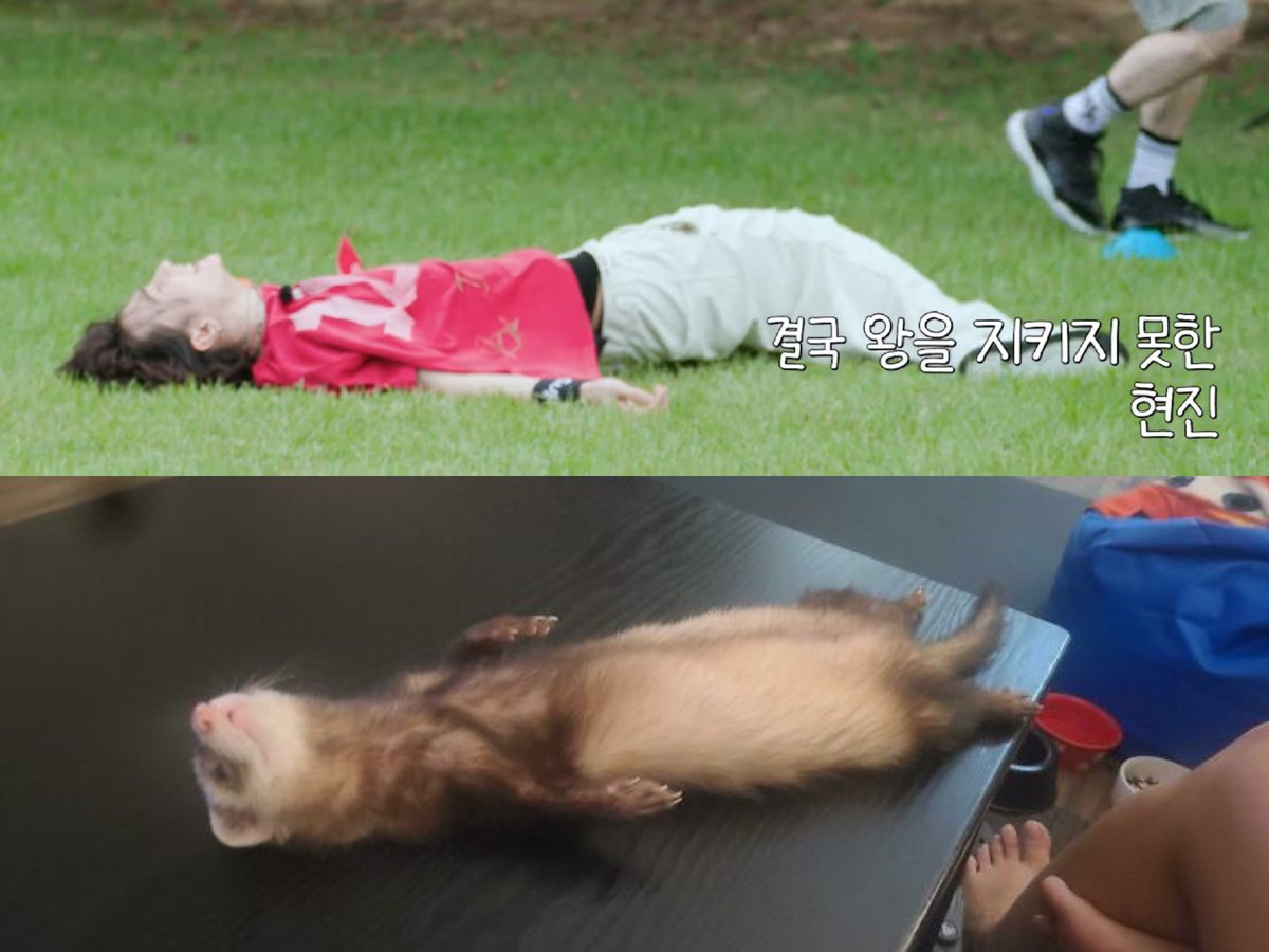 결국 왕을 지키지 못한 현진