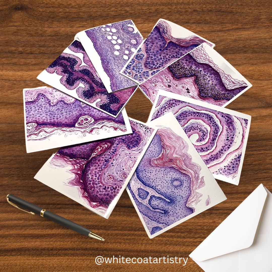 TGIF! Newly designed blank cards with your favorite histology art 🎨🖌️🔬
#pathart #pathX 

Follow my shop for deals &amp; new items around the holidays 👀

whitecoatartistry.etsy.com