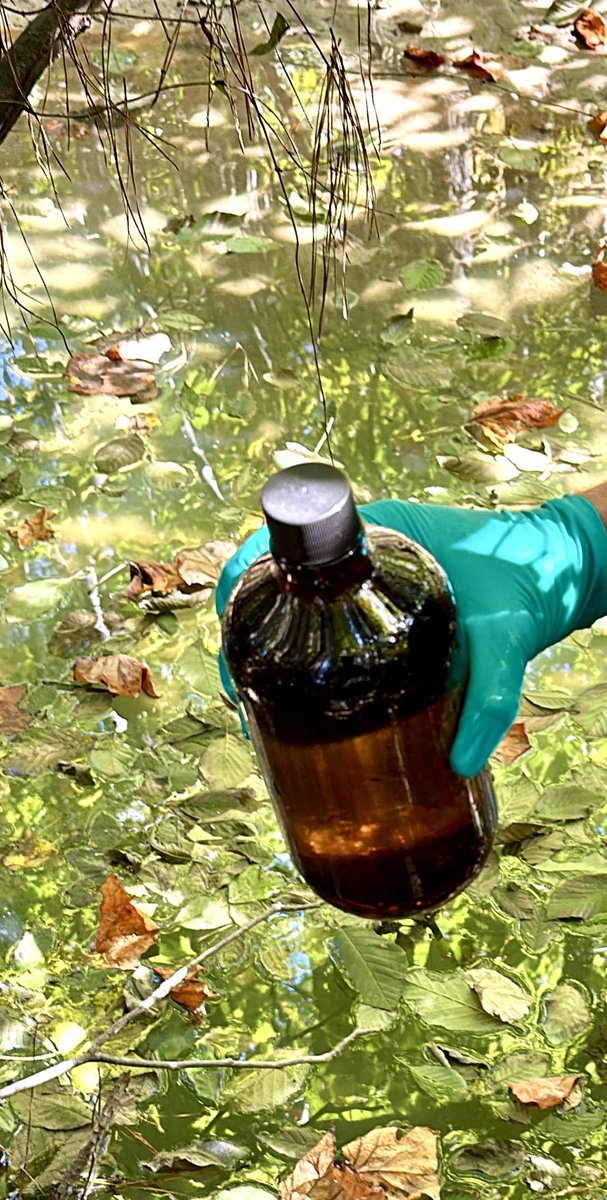 WaterWarriorOne's tweet image. I have preliminary results for the #biolab #Biolabfire in #conyers GA for some VOC's (volatile organic compounds) found in the water, within about 1,500 feet of ground zero, at the retention pond near the dead frog we found.  Note: I have no preliminary results yet for dioxins or…