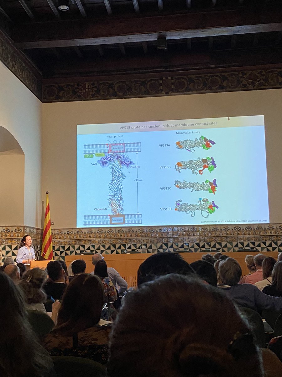 Blanca MajemCavaller (@majemcavalle) on Twitter photo PhD students <a href="/claudiabigas7/">Claudia Bigas</a> and Paula Sanchez from <a href="/AznarLab/">Aznar-Benitah Lab</a> and <a href="/AntonioZorzano/">Antonio Zorzano</a> laboratories presenting their excellent projects as selected short-talks at the 10th Intl <a href="/MetNet_Bcn/">MetNet</a> meeting on Mitochondria Metabolism in Health and Disease. You rock girls! 👩🏻🔬<a href="/IRBBarcelona/">IRB Barcelona</a> PhD students <a href="/claudiabigas7/">Claudia Bigas</a> and Paula Sanchez from <a href="/AznarLab/">Aznar-Benitah Lab</a> and <a href="/AntonioZorzano/">Antonio Zorzano</a> laboratories presenting their excellent projects as selected short-talks at the 10th Intl <a href="/MetNet_Bcn/">MetNet</a> meeting on Mitochondria Metabolism in Health and Disease. You rock girls! 👩🏻🔬<a href="/IRBBarcelona/">IRB Barcelona</a>