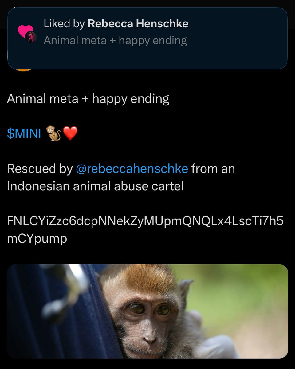 BtcPuppet's tweet photo. Is it safe to say that @rebeccahenschke saving $mini brought back the animal meta?
Like @VitalikButerin said, memes with social cause. @MiniMonkeyCTO will spread awareness against animal abuse.
#memewithmission #minimonkey 🐒❤️ https://t.co/dVIXE905KB