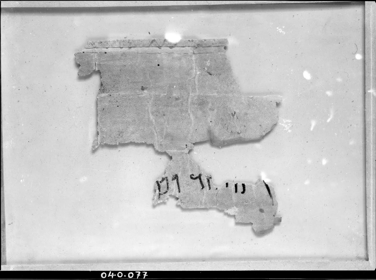 Årstein Justnes tweet media