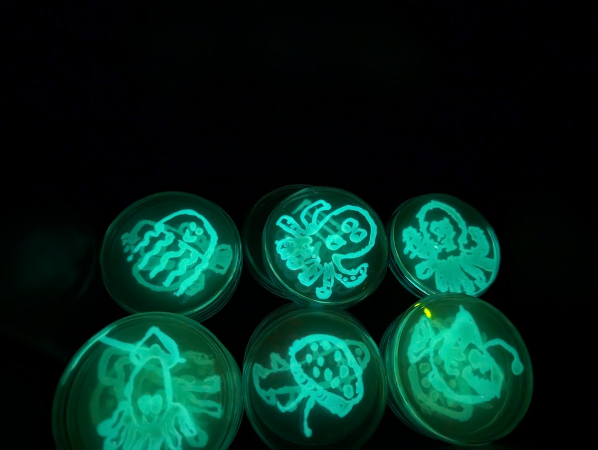 BLS Lancaster University tweet media