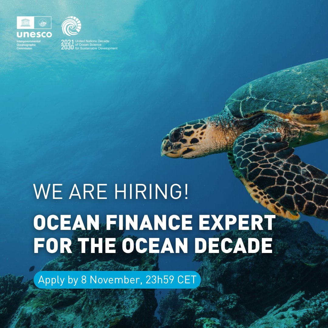 UN Ocean Decade tweet media