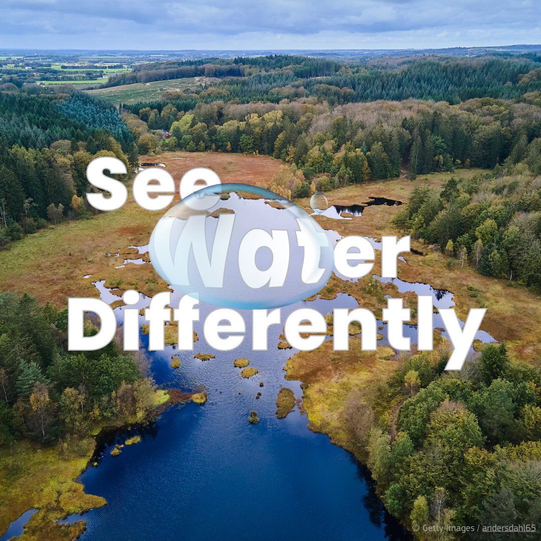 Today at #COP16Colombia Forest &amp; Water Day, we are reminded of how thriving biodiversity &amp; healthy ecosystems are vital to 🌍 freshwater supplies.

We need to become a #WaterWiseEU to make #PeaceWithNature 🌱

Learn more about 🇪🇺 priorities at COP16 👉 europa.eu/!ywGgCQ