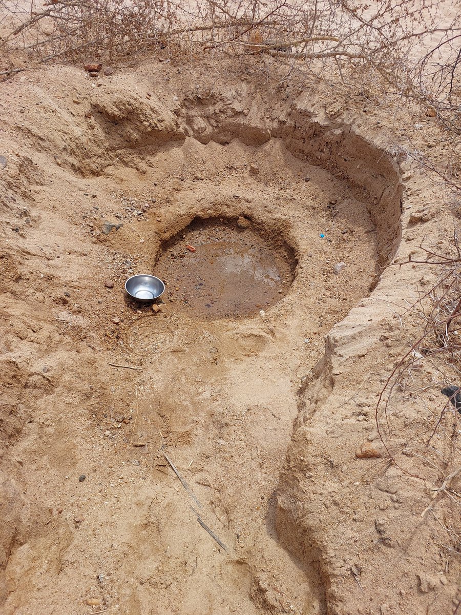 WISE-Futurestz tweet media