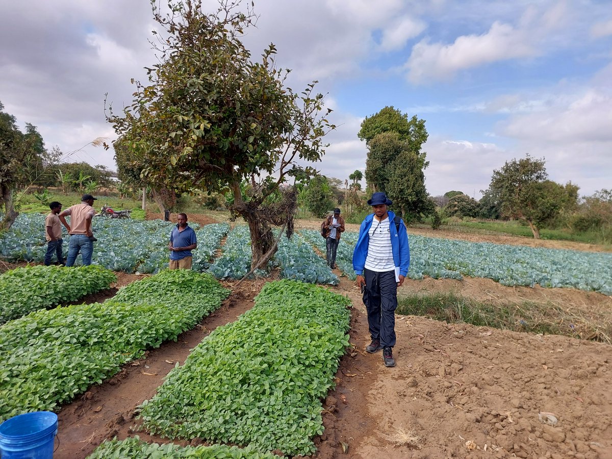 WISE-Futurestz tweet media