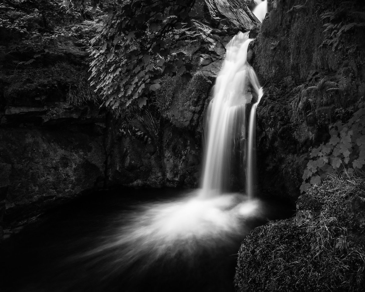 _michaelhartley's tweet image. Good morning