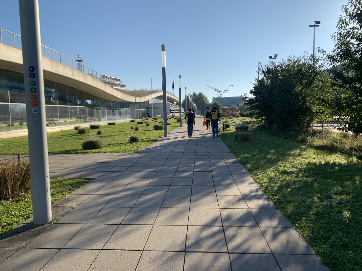 Anne Savelli tweet media