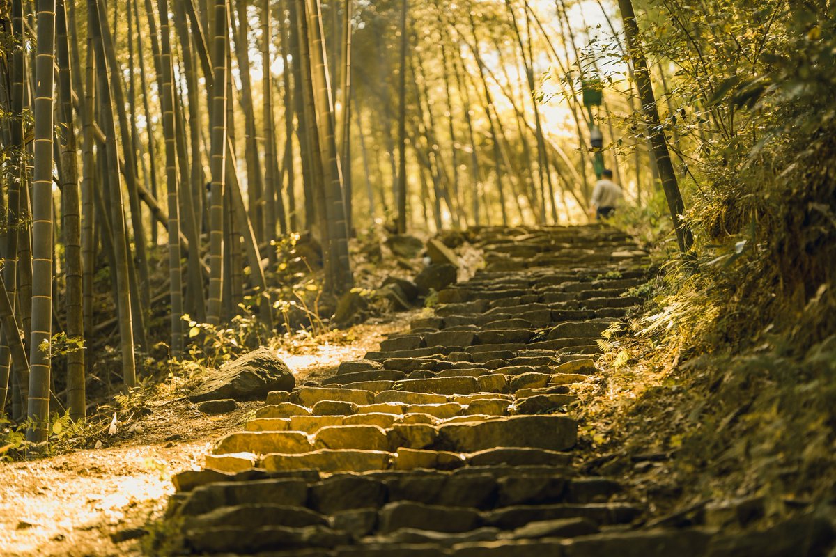 DiscoverYuhang's tweet image. 🍂 #Yuhang📍 in autumn is simply magical! 🌅
It’s the perfect time to climb and enjoy the stunning views. As you ascend to Pingtiantang along the ancient forest trail, sunlight filters through the bamboo, casting a serene glow on the #stonesteps. Standing at the summit, the vast
