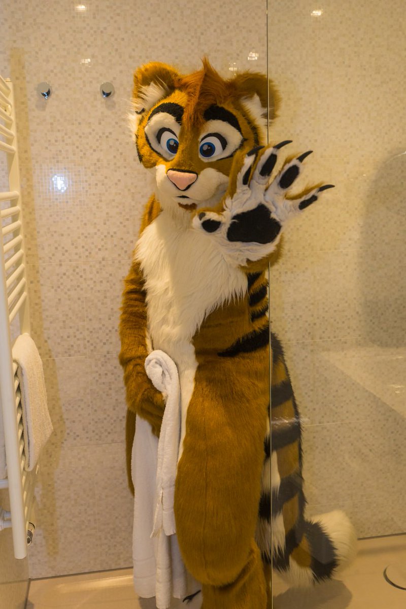 Lee Taiger tweet media