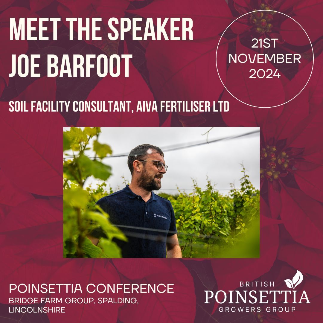 BOA British Ornamentals Association tweet media