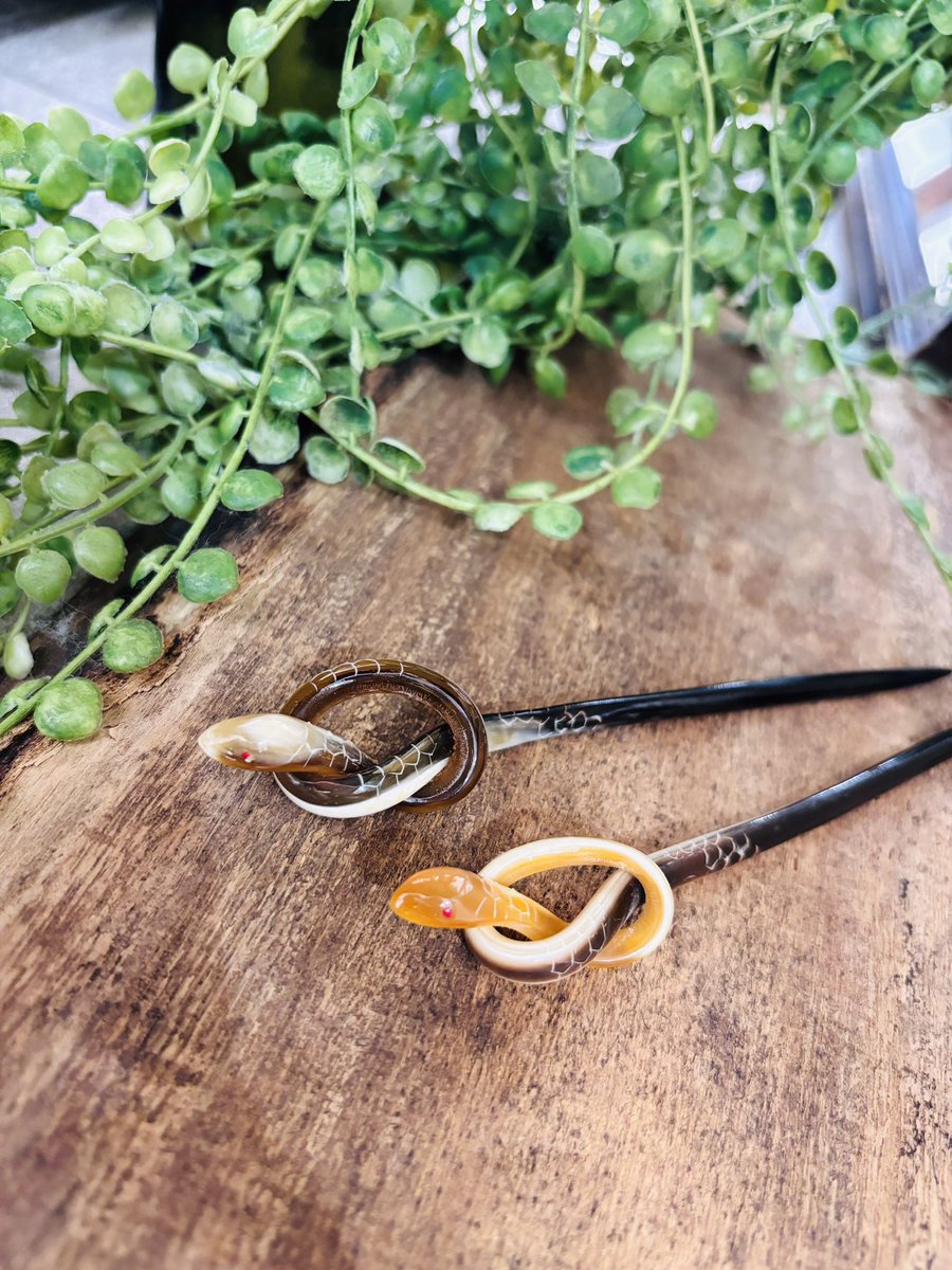 新 作 情 報 】 /／ 🗣 新入りだー！ ＼ ￣￣￣￣￣￣￣￣￣￣￣ 🐍牛