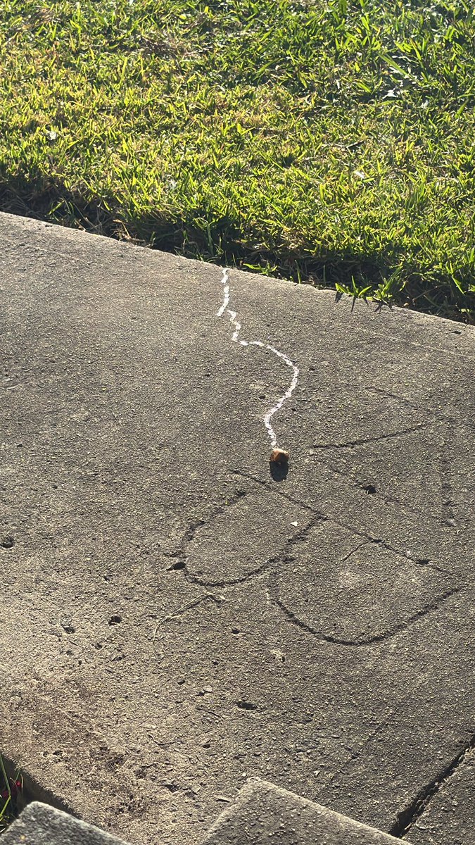 Franki Chamaki (@frankichamaki) on Twitter photo 