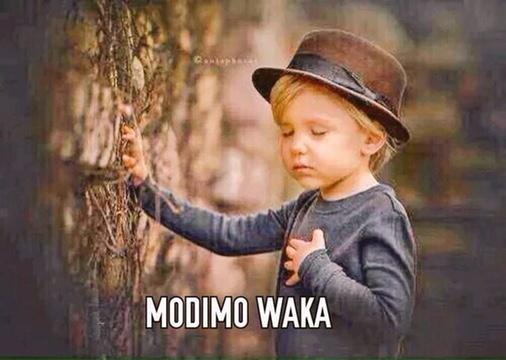 We remain humble ❤️🙏 tweet media