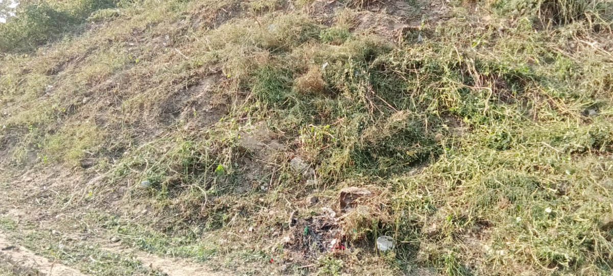 CANTT BOARD ALMORA (@almoracantt) on Twitter photo Special cleanliness drive near army company under Special Campaign 4.0
#SpecialCampaign4
#SHS2024 #SwabhavSwachhata #SanskaarSwachhata #SwachhataHiSeva2024 <a href="/SwachhBharatGov/">Swachh Bharat Urban</a> <a href="/SwachhBharat/">Swachh Bharat Mission - Grameen</a>
<a href="/pddecc/">Principal Directorate Central Command</a> <a href="/ddg_it/">Directorate General Defence Estates</a> <a href="/adgcantts_dgde/">adgcantts-dgde</a> <a href="/sonamley/">Sonam Yangdol IDES</a> Special cleanliness drive near army company under Special Campaign 4.0
#SpecialCampaign4
#SHS2024 #SwabhavSwachhata #SanskaarSwachhata #SwachhataHiSeva2024 <a href="/SwachhBharatGov/">Swachh Bharat Urban</a> <a href="/SwachhBharat/">Swachh Bharat Mission - Grameen</a>
<a href="/pddecc/">Principal Directorate Central Command</a> <a href="/ddg_it/">Directorate General Defence Estates</a> <a href="/adgcantts_dgde/">adgcantts-dgde</a> <a href="/sonamley/">Sonam Yangdol IDES</a>