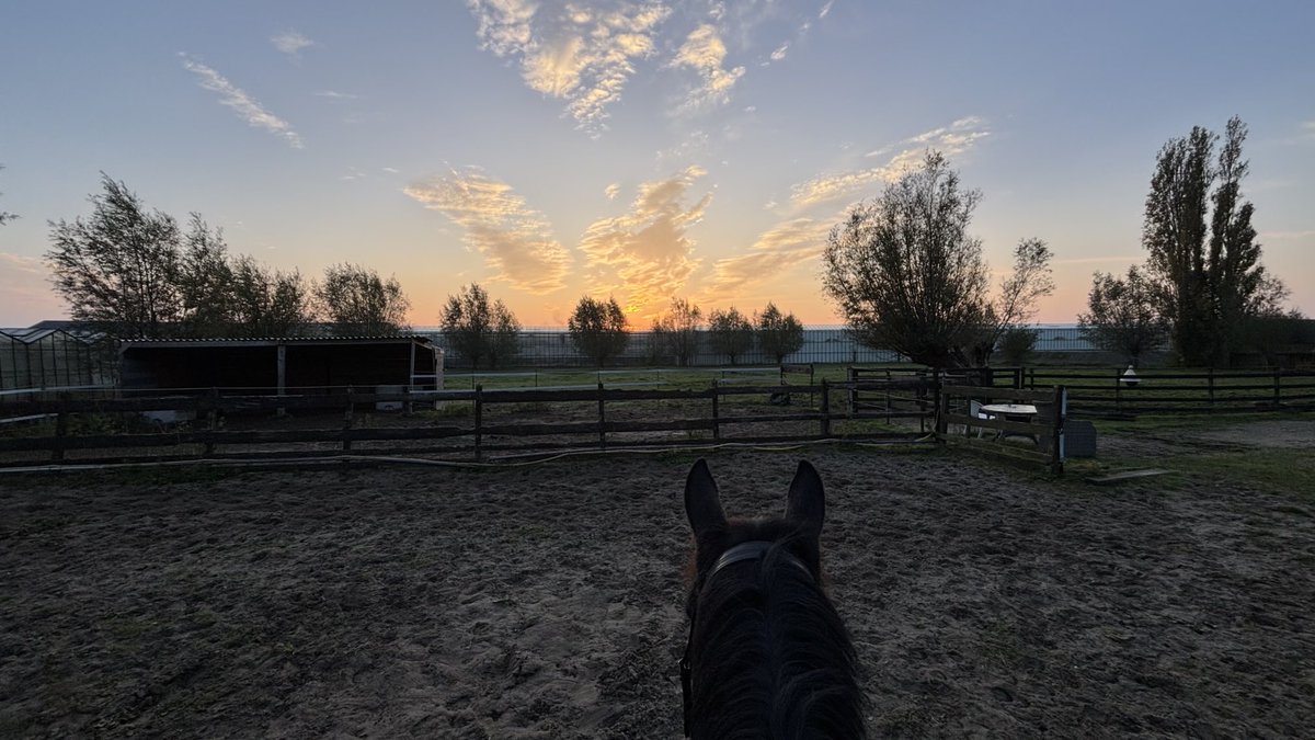 Best start to the day 😊