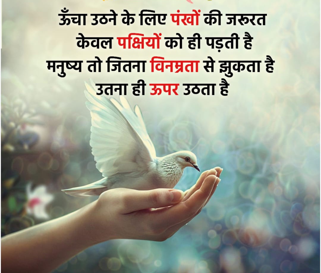 🙏🙏🙏🙏🙏🙏🙏🙏🙏ऊंचा उठने के लिए पंखों की जरूरत केवल पक्षियों को ही पड़ती है मनुष्य तो जितना  नम्रता से झुकता है उतना ही ऊपर उठता है🙏🙏🙏🙏🙏🙏