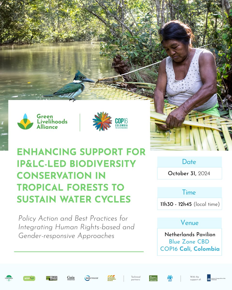 IUCN NL (@iucnnl) on Twitter photo Indigenous Peoples and Local Communities (IP&LCs) play a crucial role in protecting tropical forests, which are essential for #biodiversity and #water regulation. ๐ฑ๐งAre you at the #COP16? Join our side event on IP&LC-led biodiversity conservation!
๐ partnersforwater.nl/wp-content/uplโฆ Indigenous Peoples and Local Communities (IP&LCs) play a crucial role in protecting tropical forests, which are essential for #biodiversity and #water regulation. ๐ฑ๐งAre you at the #COP16? Join our side event on IP&LC-led biodiversity conservation!
๐ partnersforwater.nl/wp-content/uplโฆ