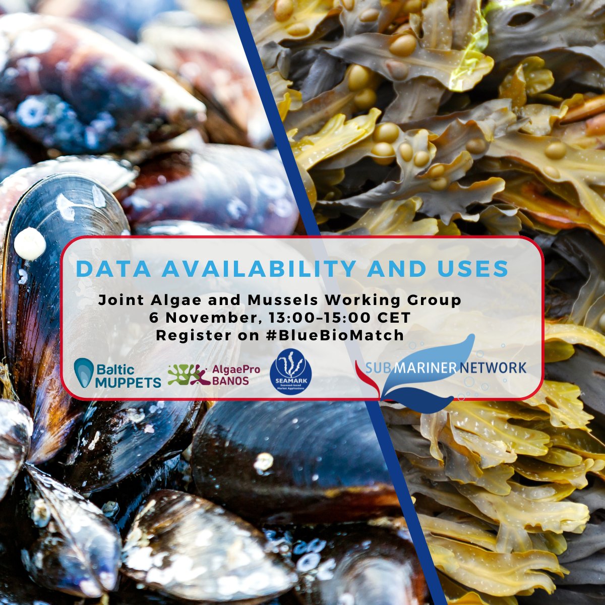 📆Join <a href="/SubmNet/">SUBMARINER Network</a>  on 6th of November for an informative session on utilizing data to enhance our understanding of #biodiversity and #sustainability trends. Register today to be part of the conversation!
bluebiomatch.hivebrite.com/networks/event… #WorkingGroup #Webinar #BlueEconomy