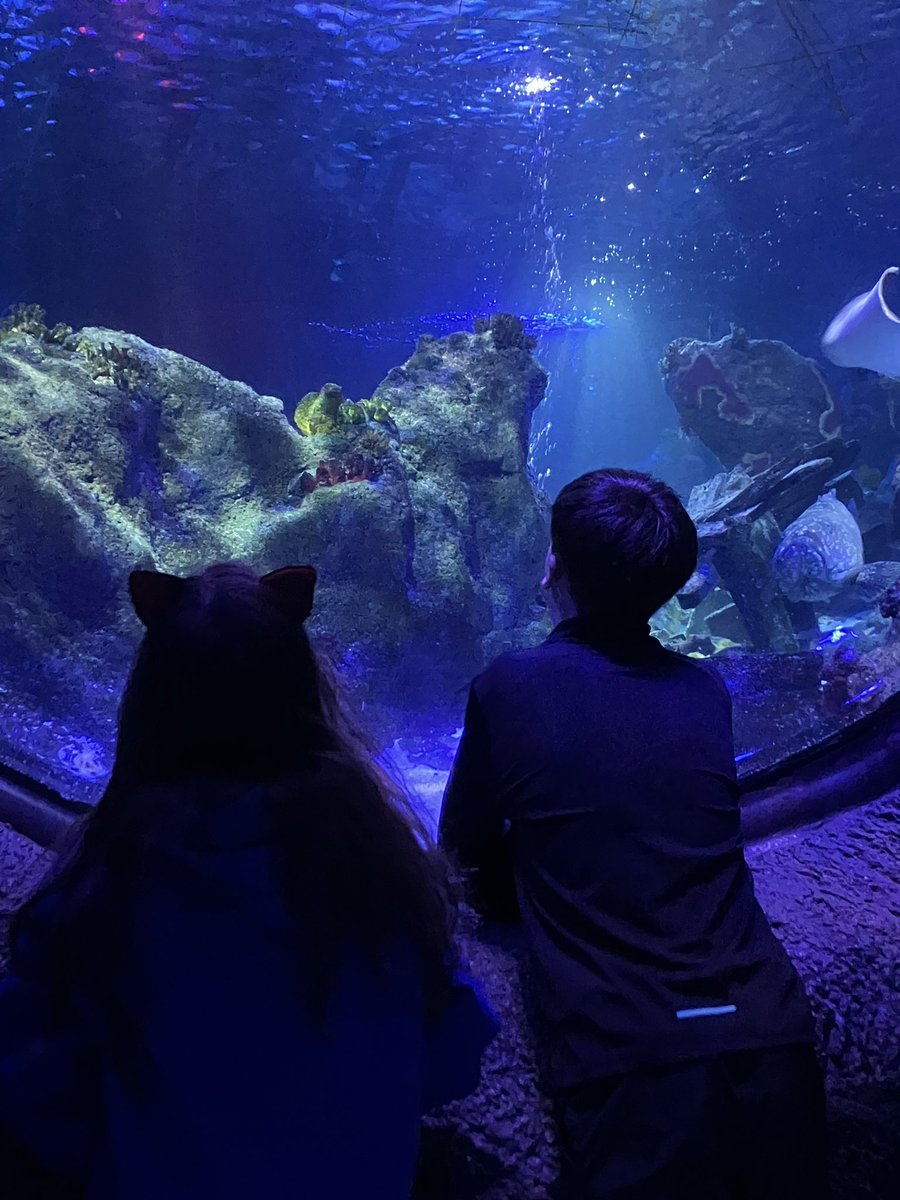 For my beautiful two in a difficult world