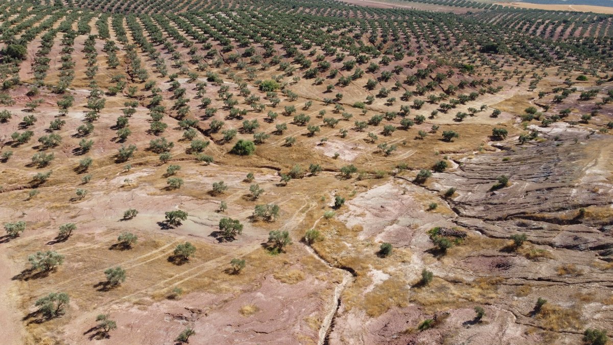🌍🌱Oferta Predoctoral en el <a href="/IAS_CSIC/">IAS-CSIC</a>
(Córdoba) en el marco de un proyecto de modelización de erosión hídrica en condiciones mediterráneas, con uso de teledetección de alta resolución.   

Más info aquí 👉csic.es/es/formacion-y…