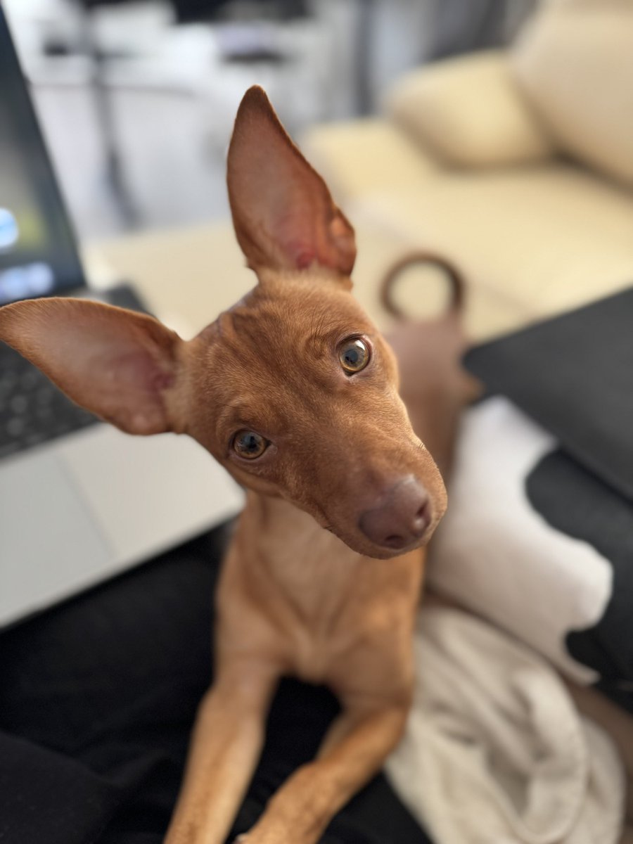 В смысле тебе надо работать?