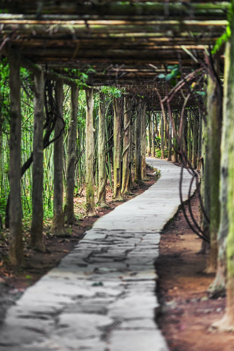 Cederfjärd tweet media