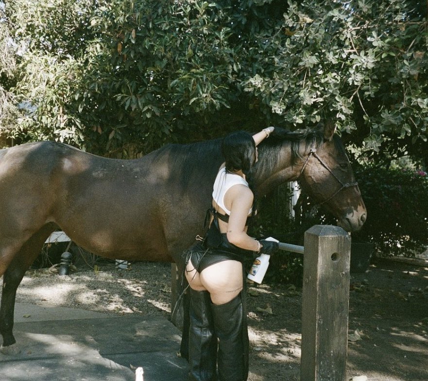 callmemaliiii's tweet photo. shawn michaels once said “i think i’m cute i know i’m sexy” me and my darling hershey agree with those sentiments #SATURNEGRAM #ASSLESSCHAPS https://t.co/QWvrzRVNjU
