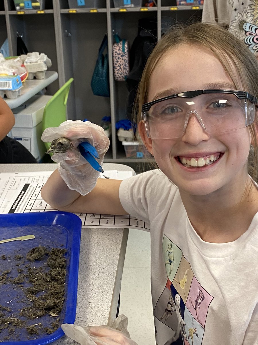 Beth Testa tweet media