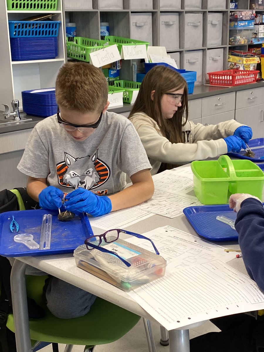 Beth Testa tweet media