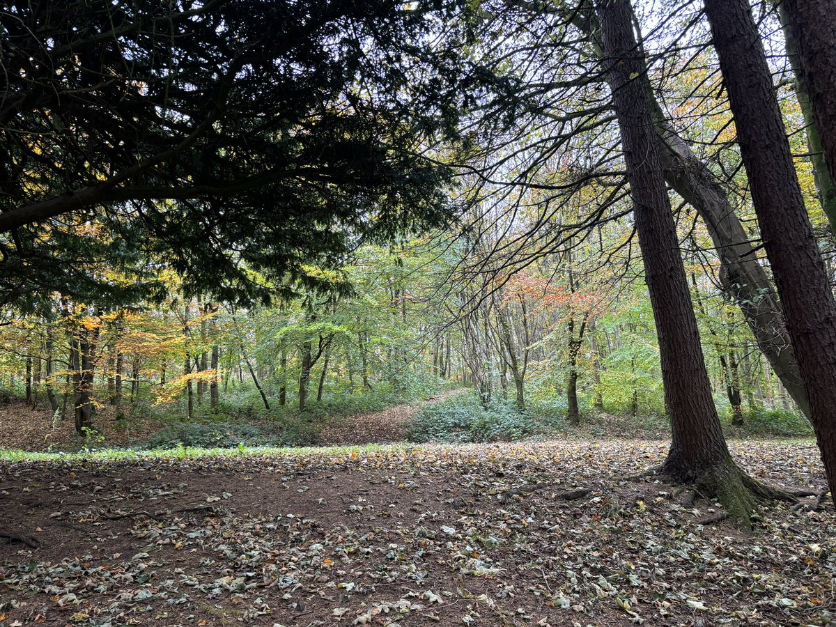 ‘Leaves are falling, Autumn is calling’. Beautiful setting for today’s Forest Kindergarten 🍁🍂 <a href="/AyrshireColl/">Ayrshire College</a>