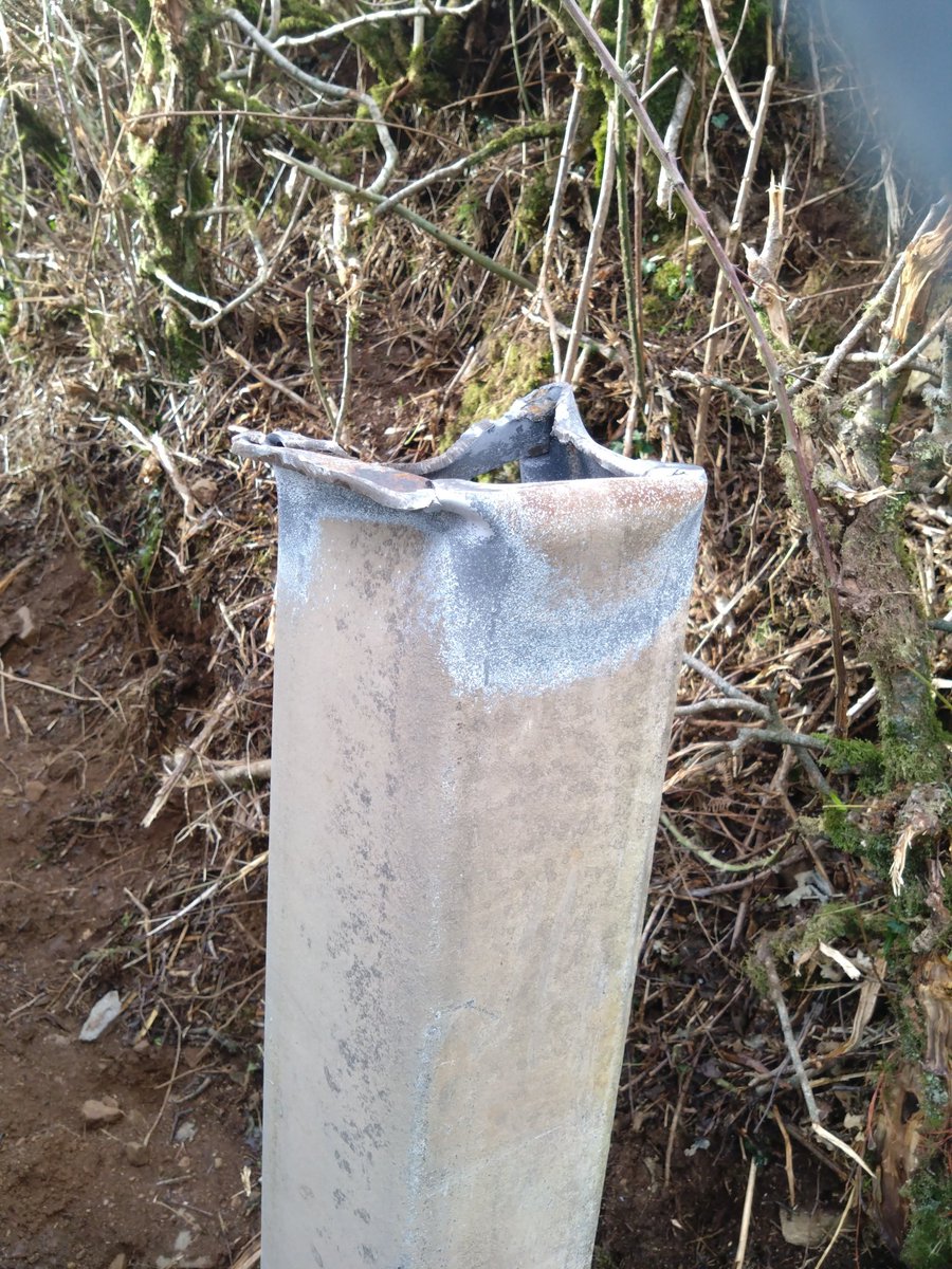 Adrian Coombe tweet media