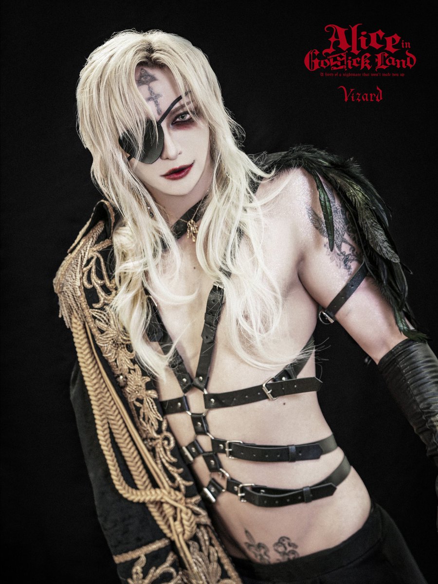 v系アリス - Search / X