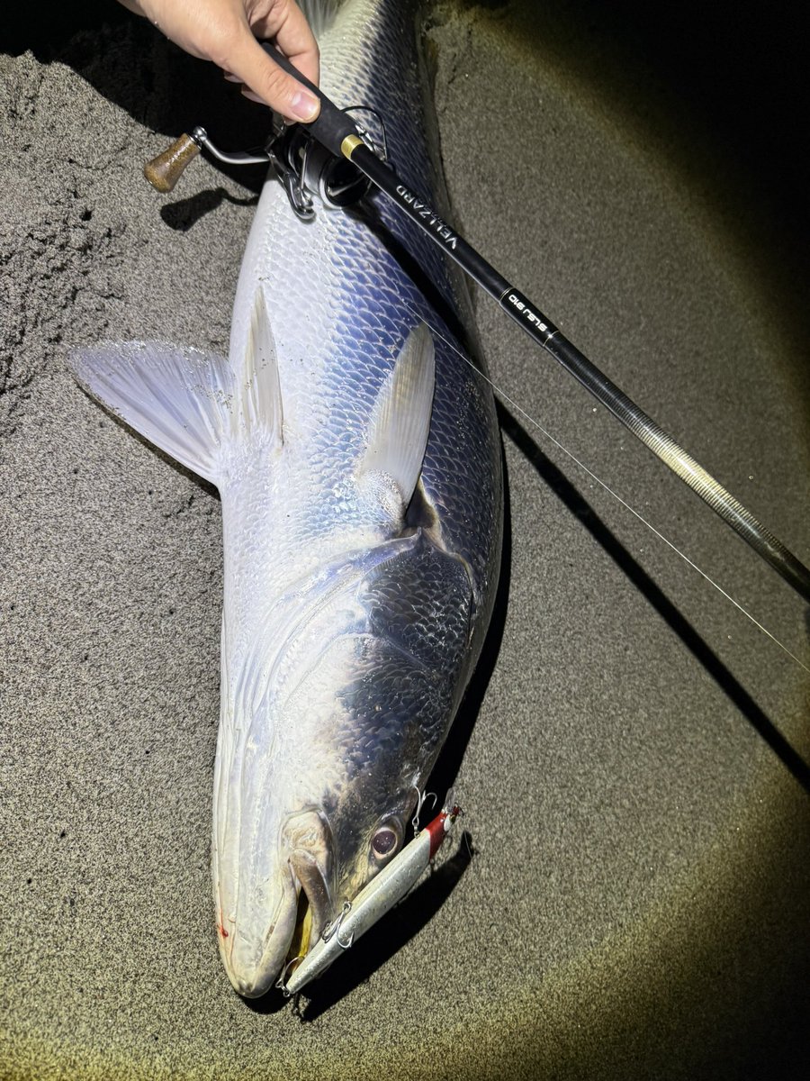 ヴェルザード VELLZARD LIMITED SLSJ 910 ヴェルザード VELLZARD