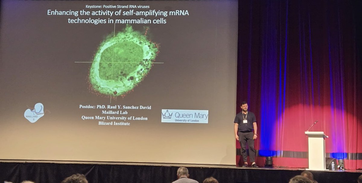 ry_sanchezdavid's tweet photo. Yesterday presented our latest #science from @MaillardLab  on how to improve #saRNA #technologies at @KeystoneSymp positive sense RNA viruses meeting #KSRNAVirus25. Witnessed great science being done by the community and got to meet old and new friends. https://t.co/wATLvBsONM