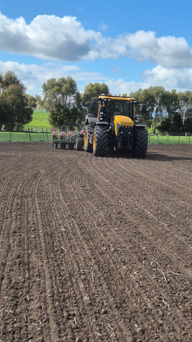 Few farm Piccies. Sowing pyrethum today.
