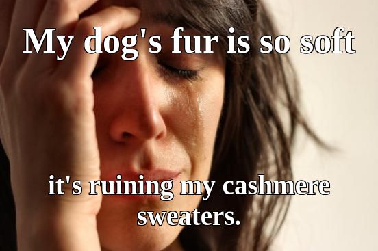 PetPoyX's tweet image. When your dog&apos;s fluff level is so high, it&apos;s off the charts! #FluffOverload #PupFurDays 🐶💕